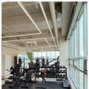 하태 | 동탄역헬스장 하태짐PT 동탄점 경험후기. 결국 정착한 곳 이야기.