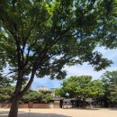 우리소리도서관 | 익선동 나들이 우리소리도서관 솔솥 서울커피 운현궁