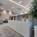 세무법인한길 이미지