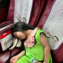 경희대한결태권도 이미지