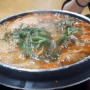 새골목식당 이미지