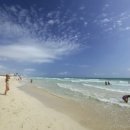 카리브해 이미지