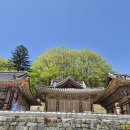 숫타니파타 3:8-584 사경모음 이미지