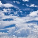 맑음그린 이미지