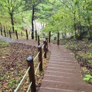 삼선산 수목원 이미지