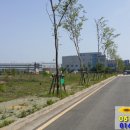 장안읍반룡리-70 이미지