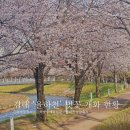 율하천공원 | [김해 벚꽃 명소] 율하천 실시간 벚꽃 개화 현황 : 이번 주말 김해 벚꽃 나들이 추천 명소