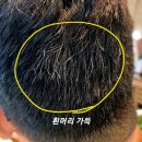 에네스티 | 지역생산품애용 "에네스티" 화장품