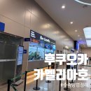 비소(아름)-호-1 | 후쿠오카 배여행 추천 뉴카멜리아호 2등실 침대 반값여행 부산항 국제터미널 수속 방법 총정리