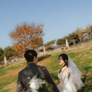 원당목장 | 경기도 웨딩스냅 원당종마목장 촬영 후기