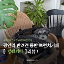 멍요일 | [부산｜애견동반] 컴앤씨미 후기｜반려동물과 함께 즐기는 광안리 감성 브런치🐶🥐