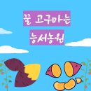 여주산촌관광농원 | 꿀고구마 고구마말랭이 아이들간식 능서농원 | 여주가볼만한곳 직영카페