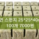 오아시스가든 이미지