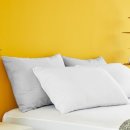 원천의료재단 중화요양병원 | 프로텍트어베드 매트리스커버, 알레르기 고민 해결