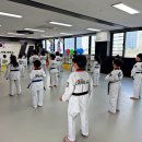 강철태권도장 이미지