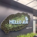 4월 제일 많이 들은 말: 넌 제주도를 또 가냐?