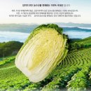 산이담은집 | 국내산 배달 김치 추천! - 건강담은 sbk 포기김치 단골 후기!