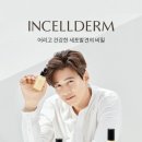 인셀덤 아카데미 이미지
