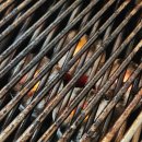 불타는돈갈매기 이미지