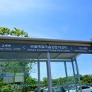 와흘본향당 | 5월 제주 가볼만한곳 조천 와흘 메밀마을에서 메밀꽃 축제중이예요