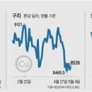 판다부동산중개 이미지