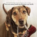 A dog's (어독스) 이미지