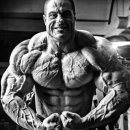 B.D Fitness 이미지