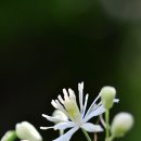 새롬농장 이미지