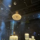 탕후루&카페 이미지