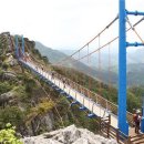 농협원대동 이미지