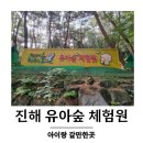 창의의 숲 | 짚라인부터 생태 관찰까지, 진해 유아숲 체험 리얼 후기 창원아이랑 가볼만한곳