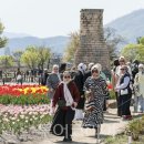 여행, 미룰 수 없는 자유 이미지