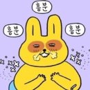 시작