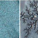 사계 돌담숲 이미지