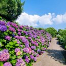 동광리-16 이미지