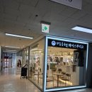 서현역미용실 박승철헤어스튜디오 뿌리매직 잘하는곳