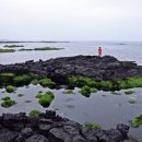 희망의아침 이미지