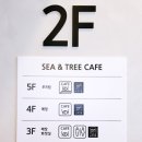 씨앤트리(Sea&Tree) 이미지