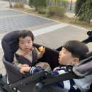 루원 또봉이통닭 치킨오브니아 포장 제로웨이스트 첫도전