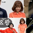 얄미운여우 이미지