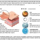 제이에스케이 이미지