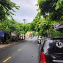 Heyday House 이미지