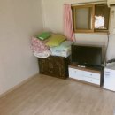 마당넓은민박 이미지