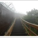 팔공산 하늘정원 이미지