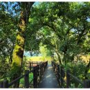 안성성모요양원 이미지