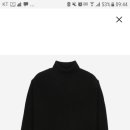 터트 이미지