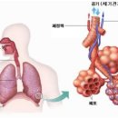 이롬시스템 이미지