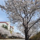 합정초 삼거리 네이버블로그