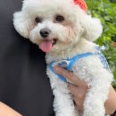 어썸스테이 | 제주 구좌읍 &#39;어썸스테이&#39; 원룸형객실 3박 4일 후기