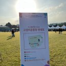종합운동장지혜의등대 | 2025 제주 올레 걷기 축제 - 1일차 17코스 후기